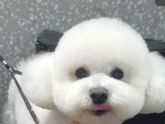 -宠物家(角门东店)