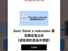 -Sony Store 索尼(上海淮海中路店)