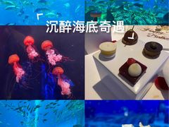 -亚特兰蒂斯•OSSIANO奥西亚诺海底餐厅