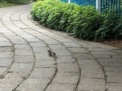 -柳州市动物园