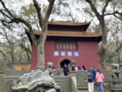 -普陀山风景名胜区-法雨禅寺