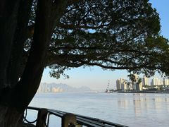 -江心屿景区