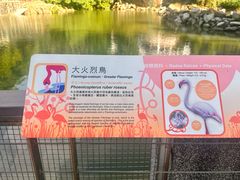 -石排湾郊野公园