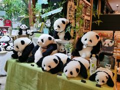 -轩客会(熊猫书店)