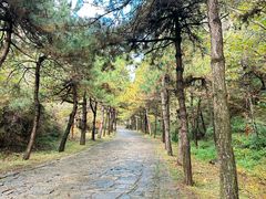 -藏山旅游风景区