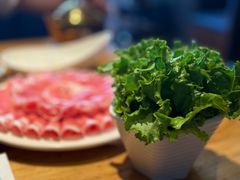 -额尔敦传统涮火锅·冰煮羊(铁东店)