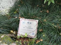 -杭州黄龙洞