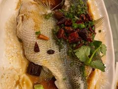 -北海渔村酒楼·粤菜海鲜点心(新华店)
