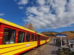 -莫尔道嘎国家森林公园