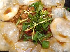 地锅素丸子-百味地锅鸡(二店·财校分店)
