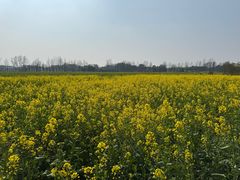 -中国天府农业博览园