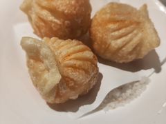 -点都德·毕德寮