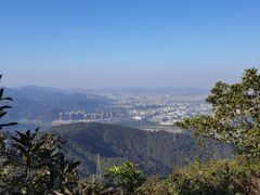 -东莞市大岭山森林公园
