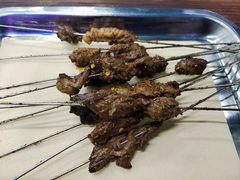 -清真·马峰烤肉(小学习北巷店)