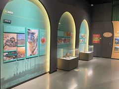 -国家自然博物馆