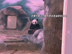 -苏州太湖国家湿地公园