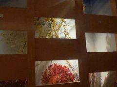 -世外桃源水疗会(皇庭彩园店)