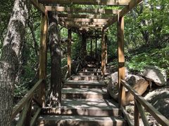 -大岭沟猕猴桃谷风景区