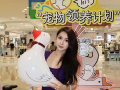-厦门SM