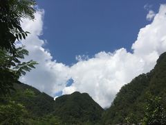 -牛背梁国家森林公园