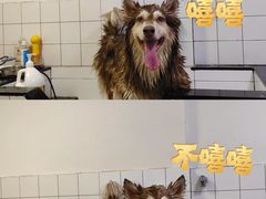 -拜鲁耶动物诊疗中心·宠家动物医院