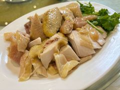 -黄B湛江鸡饭店(粤垦路店)