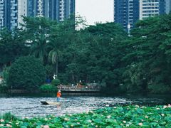 -荔湾湖公园