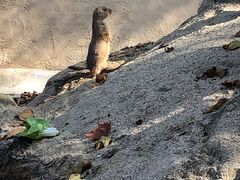 -合肥野生动物园