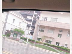 -南汇一王庙道观