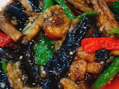 -金孔雀温泉旅游度假村