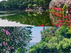 -星湖旅游景区七星岩