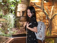 -帕帕拉兹宠物(亚洲旗舰店)