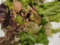 -尚雅铁板料理自助餐厅(乐松店)