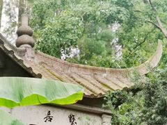 -亭林公园