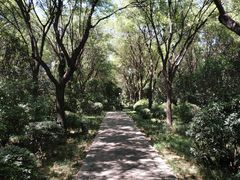 -唐城墙遗址公园