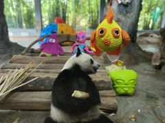 -海南热带野生动植物园
