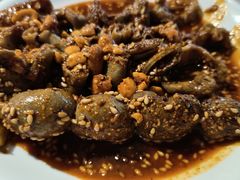 -老号尤兔头(幸福店)