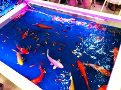 -万达宝贝王(海口秀英店)