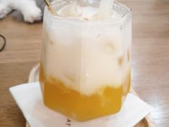 -滚猫咖啡·猫咖·猫友好撸猫(未来城店)