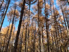 -长春市南湖公园