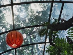 -zarah(鼓楼店)