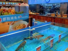 -海鸿荟·沿江菜(中山北路店)
