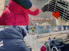 -1982农场