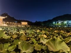 -福州大学(旗山校区)