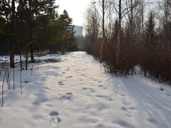 -长春世界雕塑园冰雪艺术天地