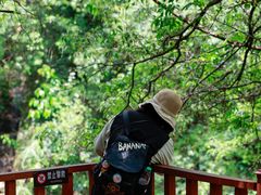 -广州白江湖森林公园