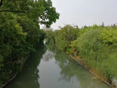 -上海长兴岛郊野公园