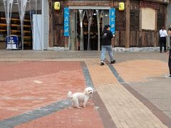 -西毒欧阳峰(巴南万达广场店)