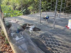 -福建鲤鱼洲酒店