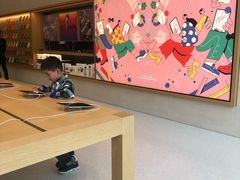 -Apple零售店(玄武湖店)